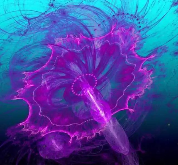 ˮĸ���ͺ�ˮһ��